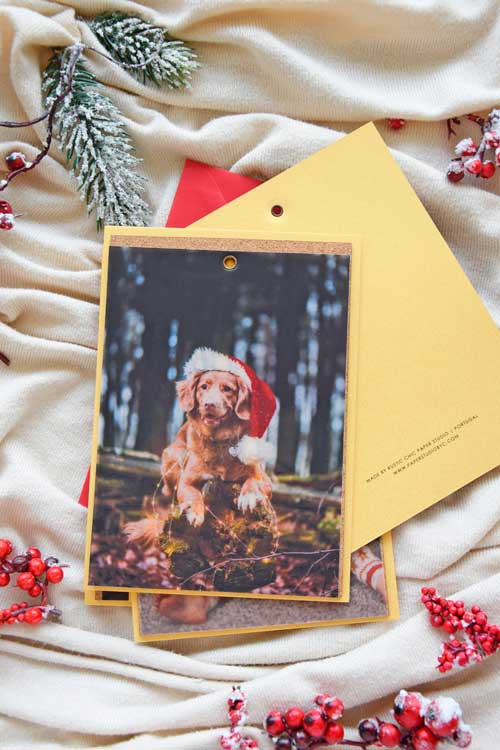 Custom Holiday Photo Cards