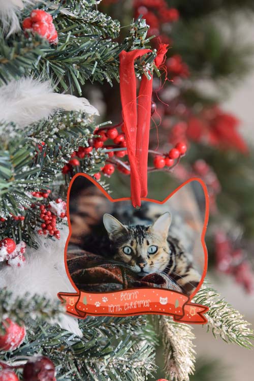 Custom Photo Christmas Ornament - Cat Shape